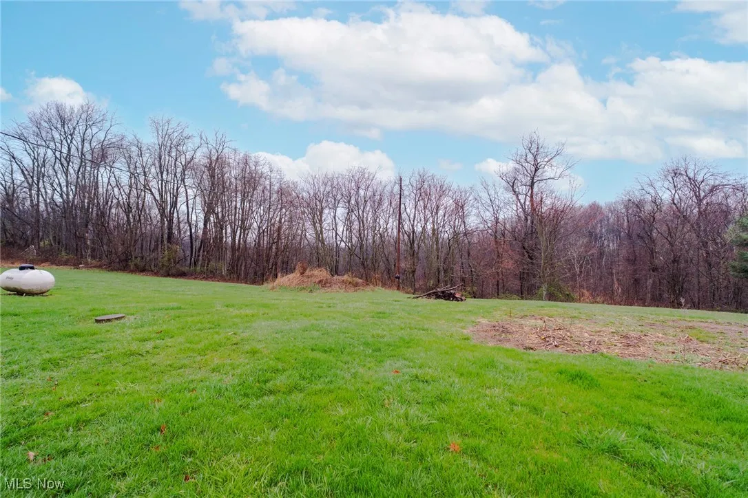 View of yard featuring a view of trees