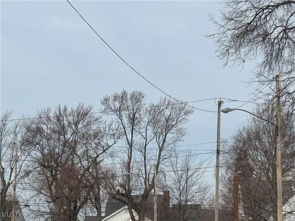 View of Lake Erie at end of street.