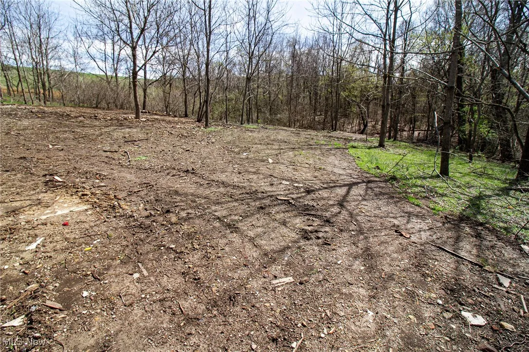 View of landscape featuring a view of trees