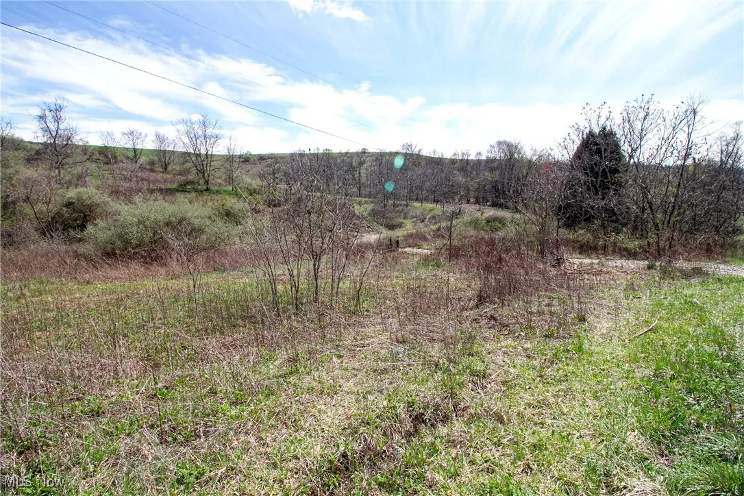 View of local wilderness