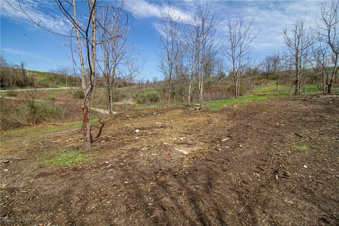 View of​​‌​​​​‌​​‌‌​‌‌​​​‌‌​‌​‌​‌​​​‌​​ yard