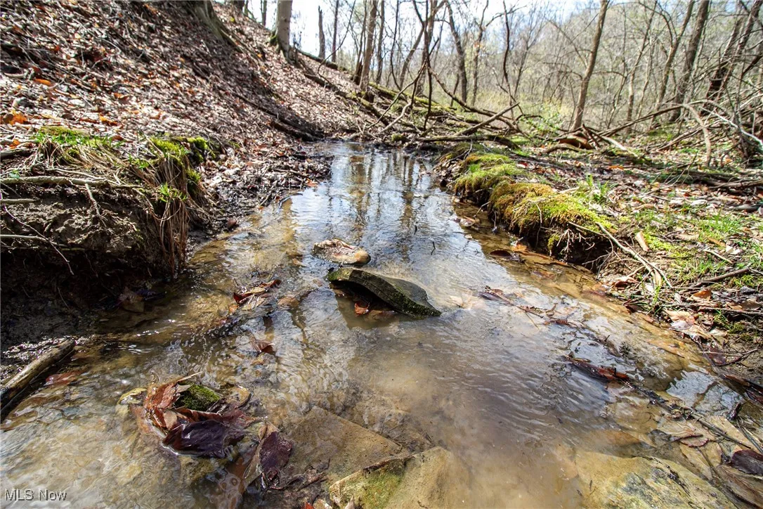 View of water feature
