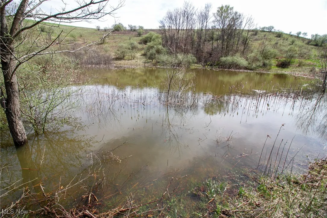 View of water feature