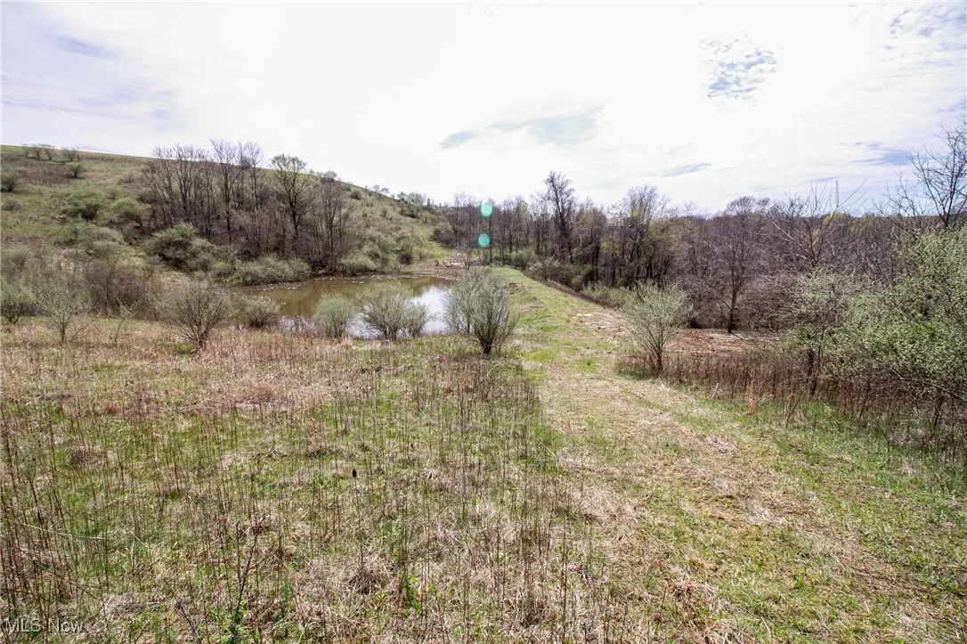 View of landscape featuring a water view