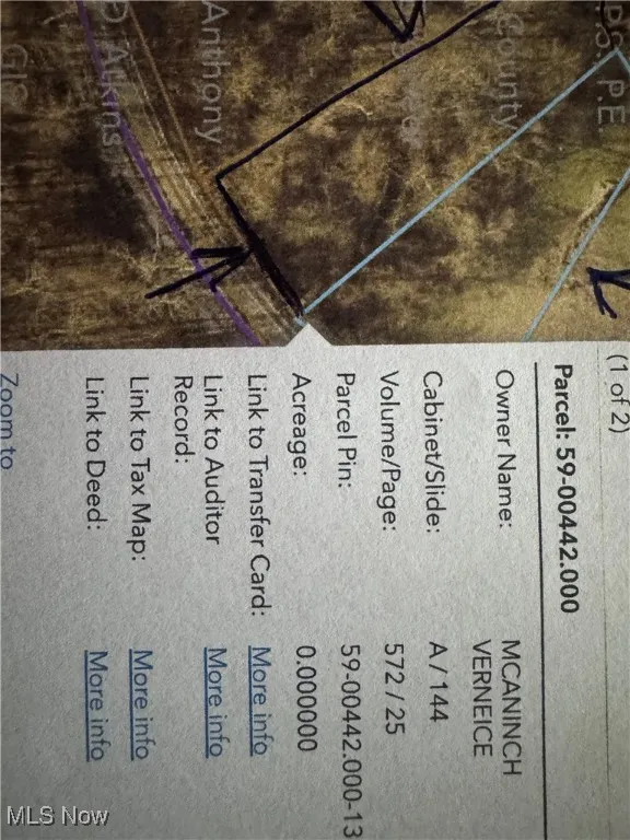 Ferryview Road, Martins Ferry, Ohio 43935,MLS Now Listing ID