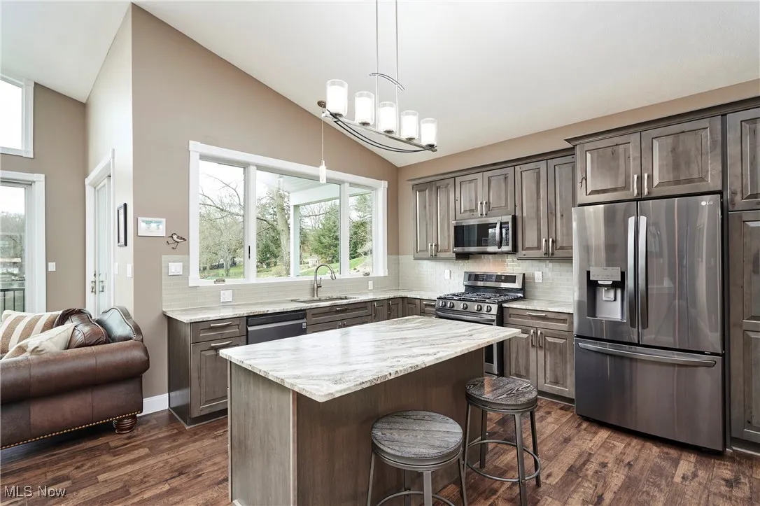 Kitchen with a sink, decorative backsplash, dark wood-type flooring, and stainless steel appliances
