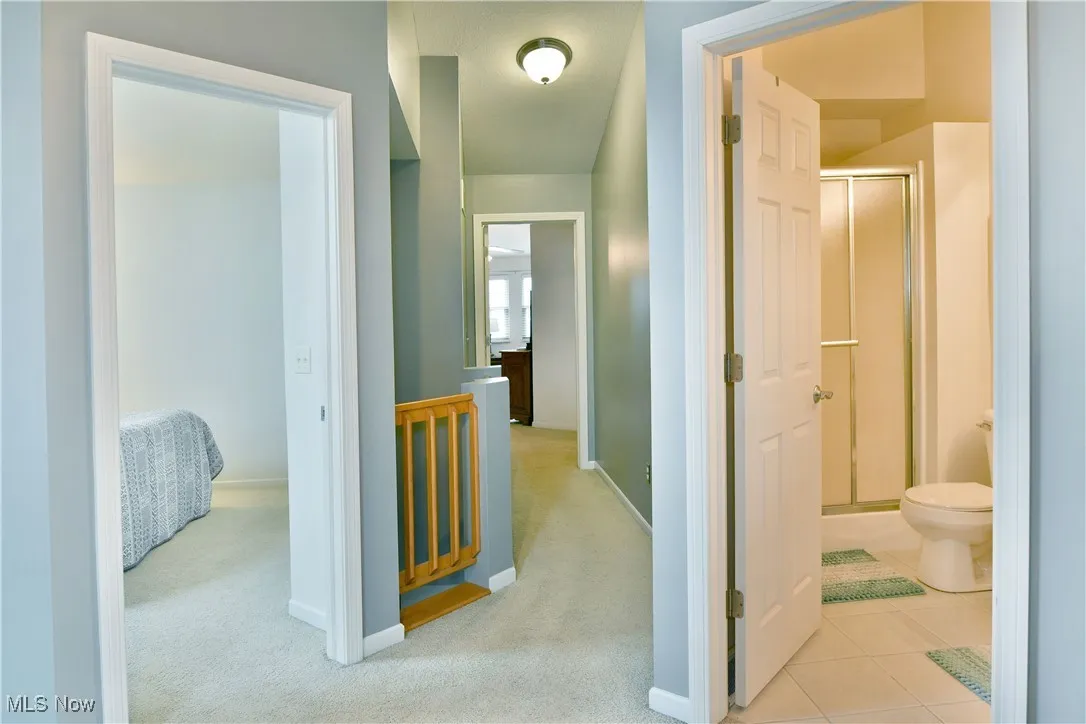 Hallway with baseboards and carpet