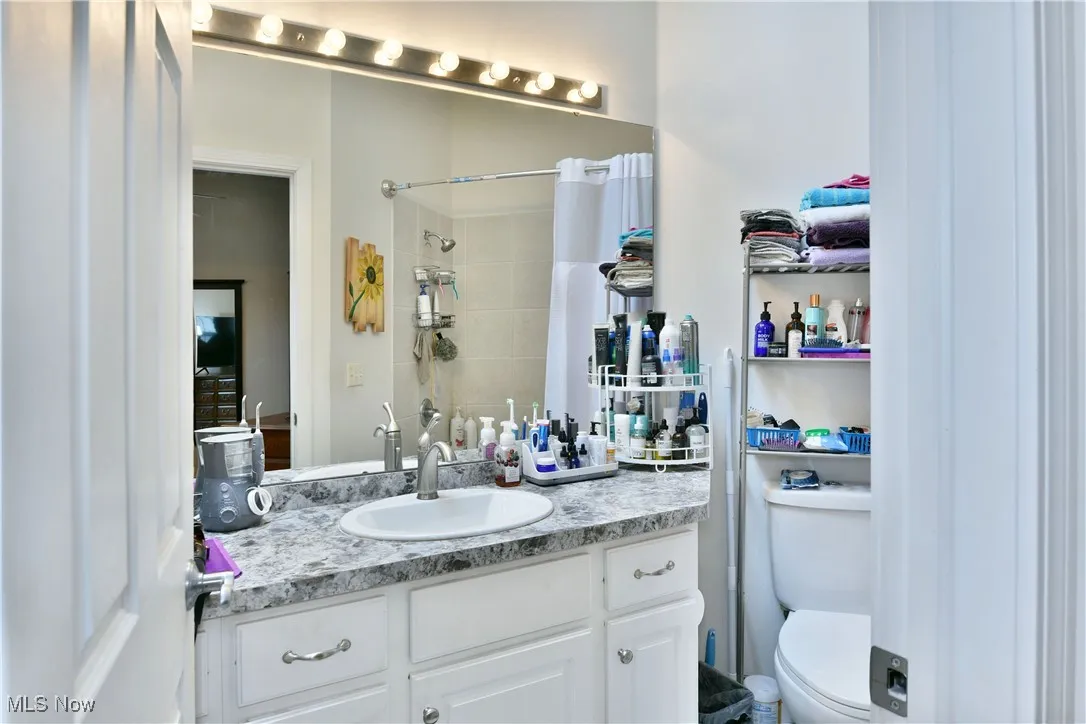 Full bathroom featuring a shower, vanity, and toilet
