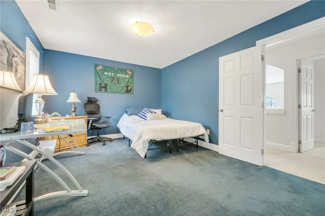 3025 Halle Drive, Medina, Ohio,MLS Now Listing ID