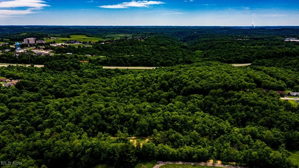 Surrounding Rose Garden, Weirton, West Virginia,MLS Now Listing ID