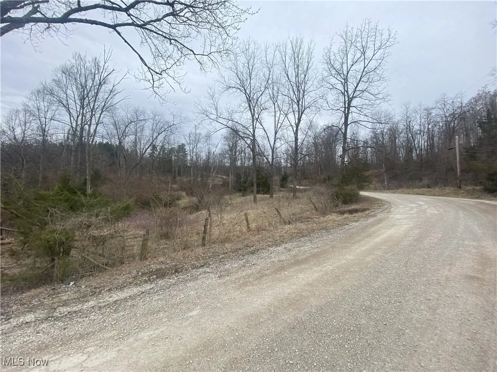 View of road with a view of trees