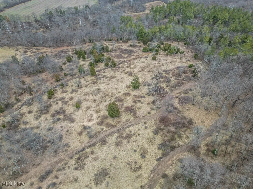 Birds eye view of property with a rural view