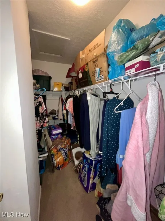 Spacious closet with carpet floors and attic access