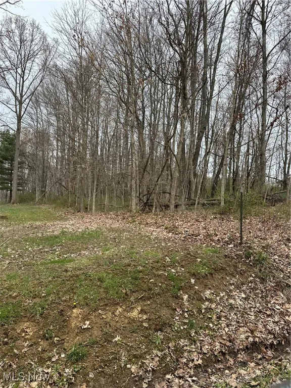 View of nature