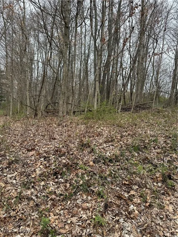View of nature