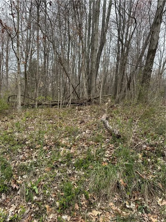 View of nature