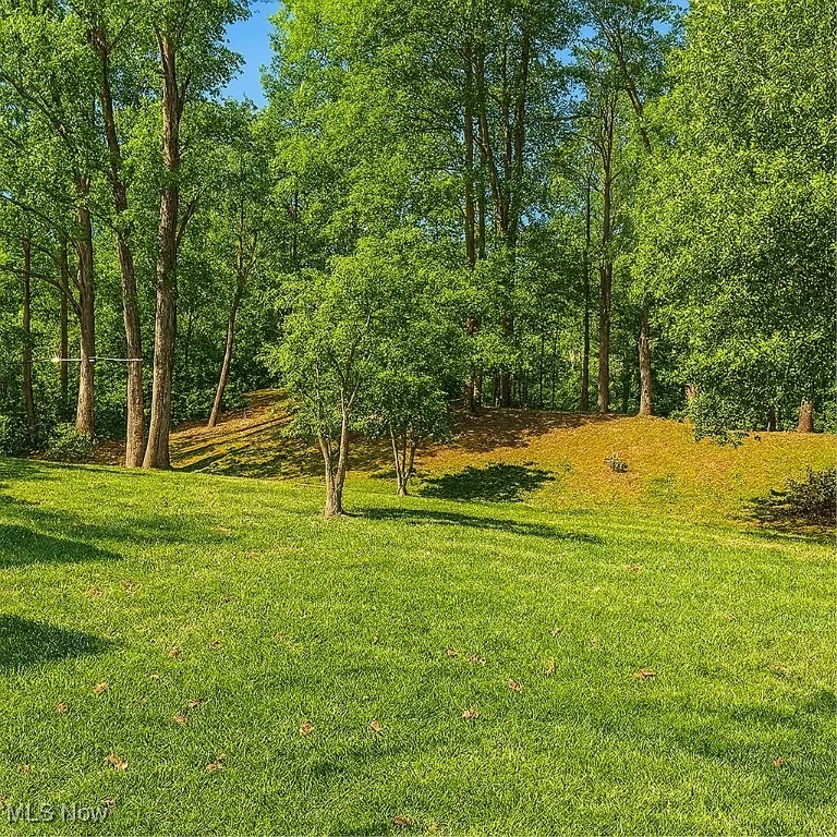 View of grassy yard