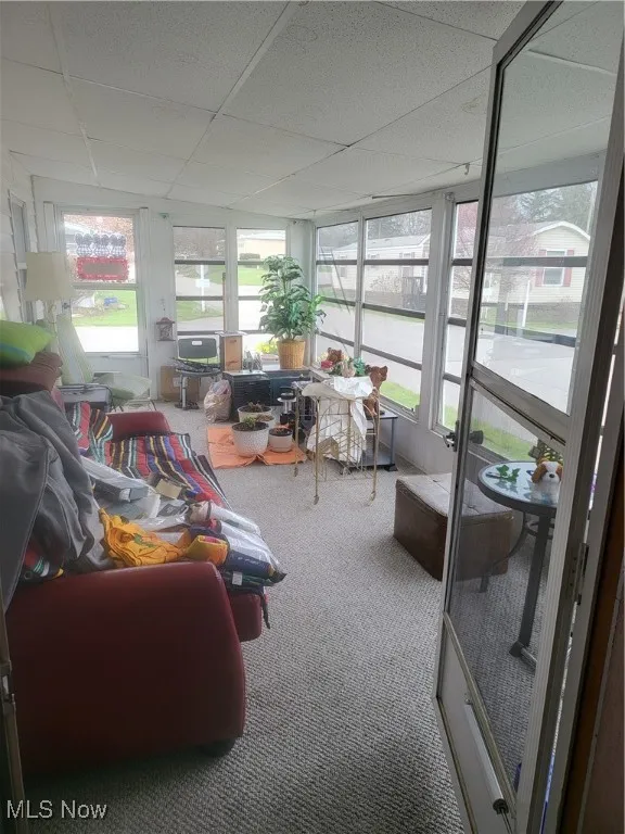 Sunroom / solarium featuring a drop ceiling and carpet