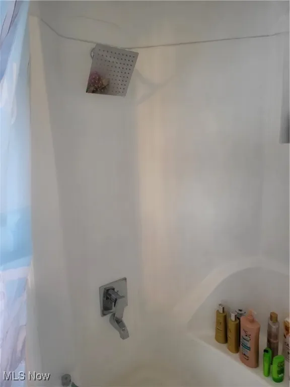 Details with walk in shower