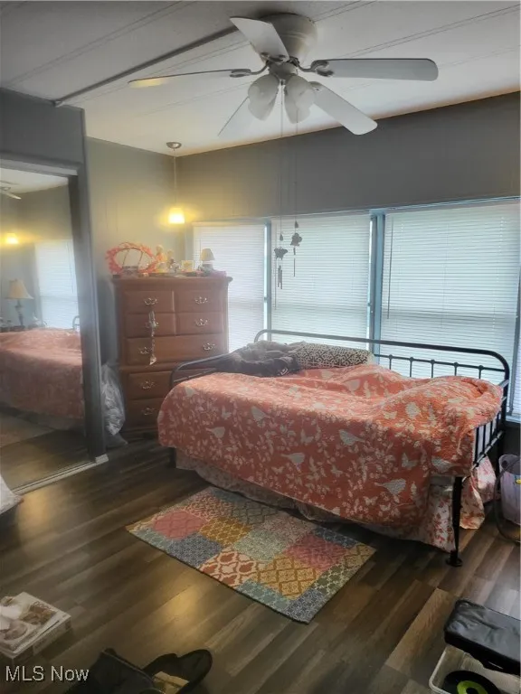 Bedroom featuring dark wood-type flooring, a ceiling fan, and multiple windows