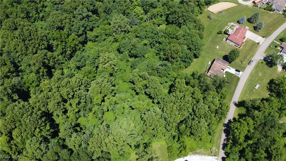 Aerial view featuring a view of trees