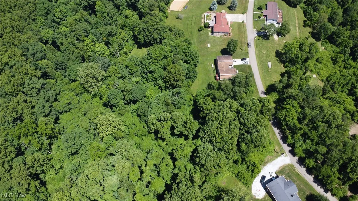 Drone / aerial view featuring a forest view