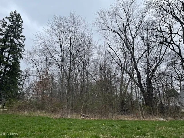 View of nature