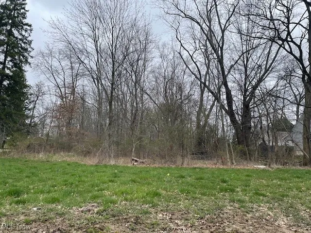 View of local wilderness