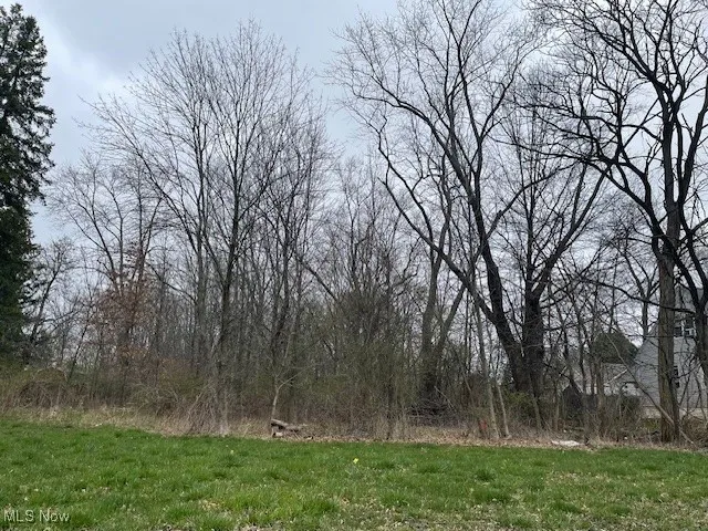 View of nature
