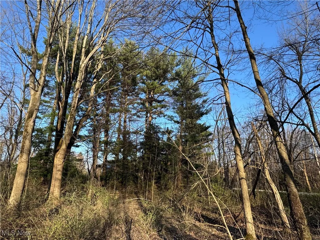 10444 Mulberry Road, Chardon, Ohio,MLS Now Listing ID