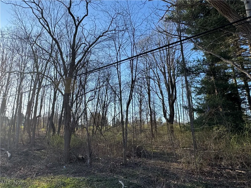 10444 Mulberry Road, Chardon, Ohio,MLS Now Listing ID