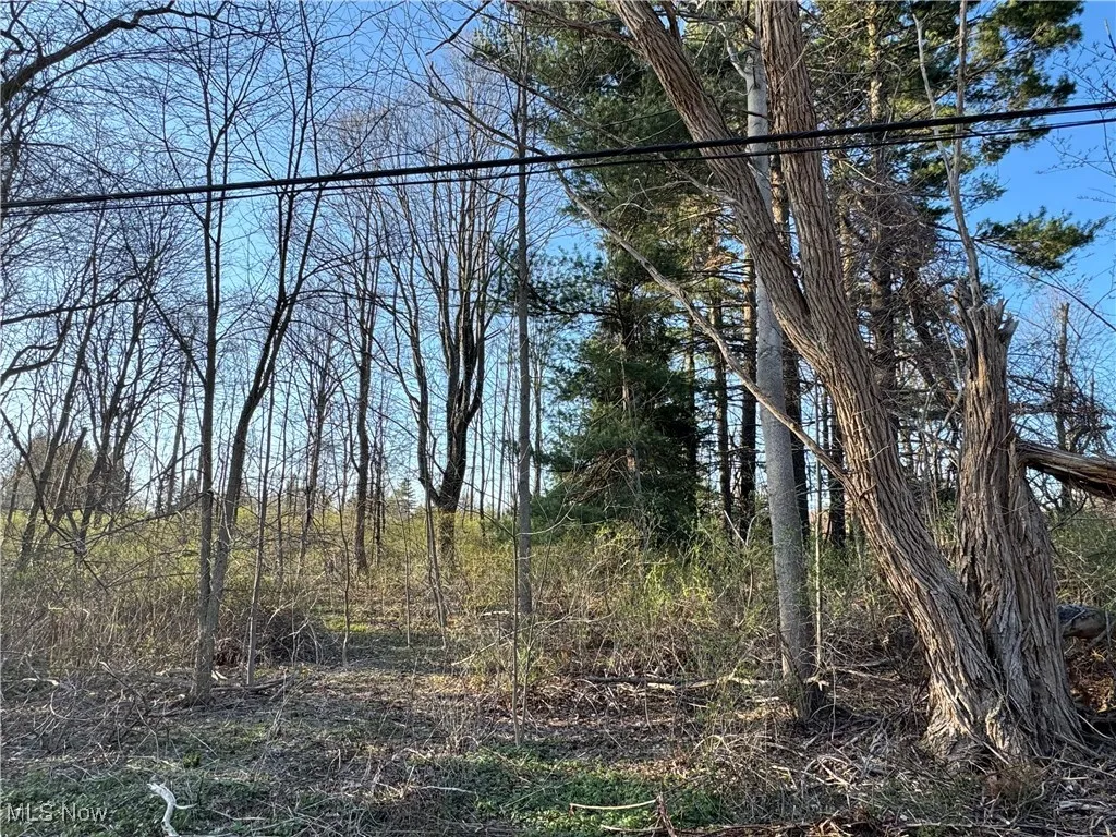 10444 Mulberry Road, Chardon, Ohio,MLS Now Listing ID