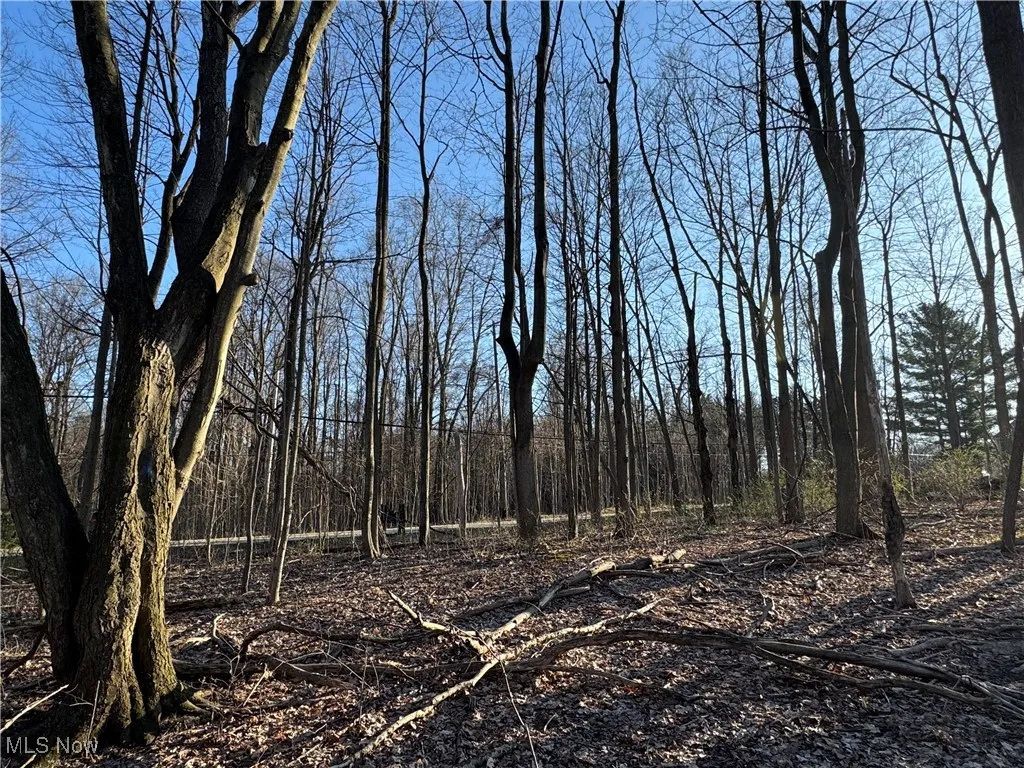 10444 Mulberry Road, Chardon, Ohio,MLS Now Listing ID