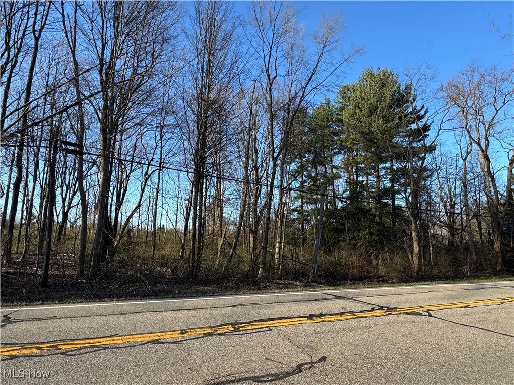 10444 Mulberry Road, Chardon, Ohio,MLS Now Listing ID