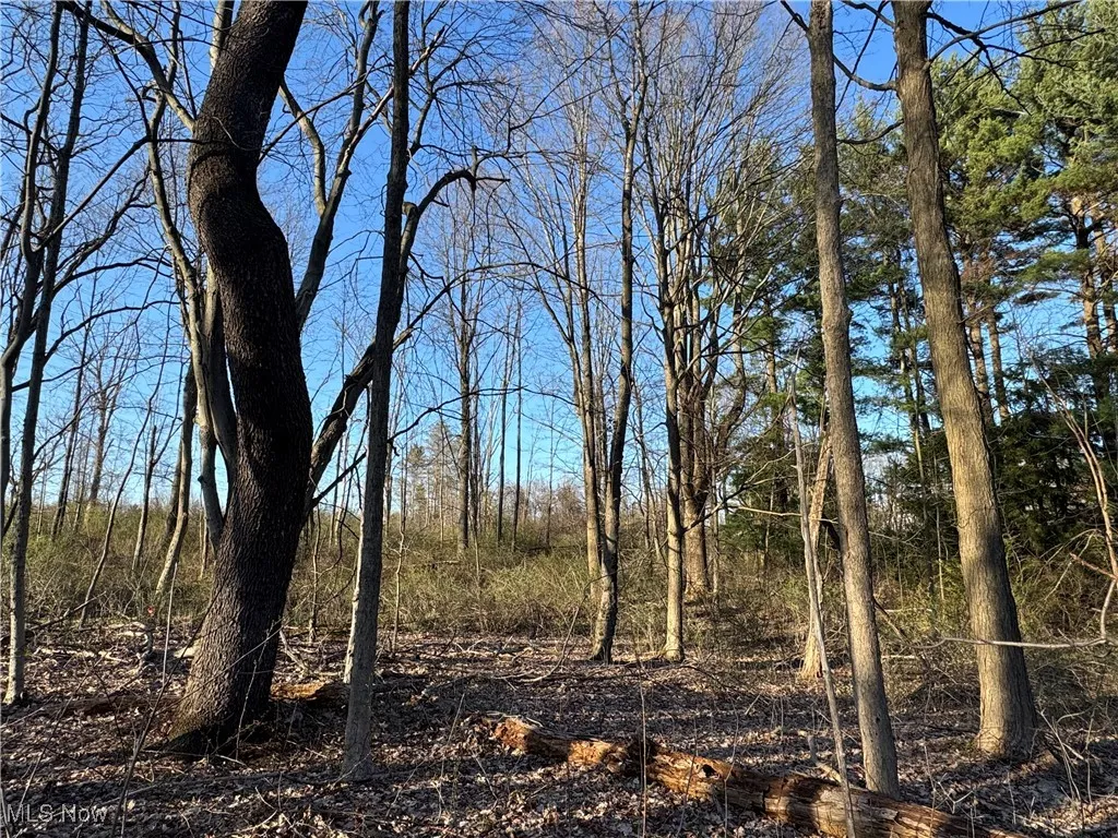 10444 Mulberry Road, Chardon, Ohio,MLS Now Listing ID