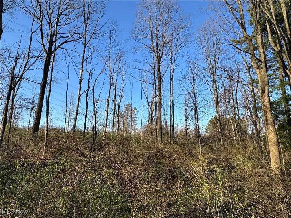 10444 Mulberry Road, Chardon, Ohio,MLS Now Listing ID
