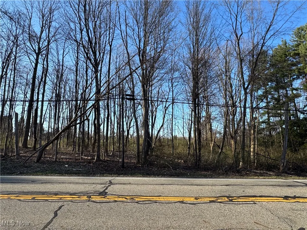 10444 Mulberry Road, Chardon, Ohio,MLS Now Listing ID