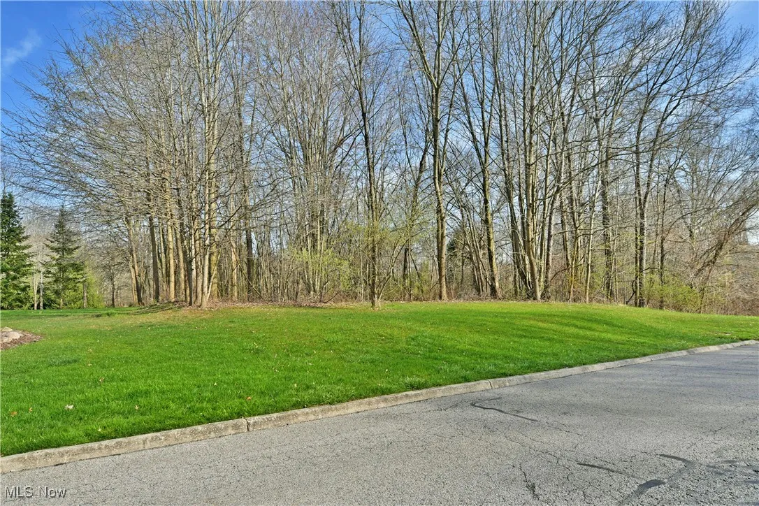 View of street with curbs