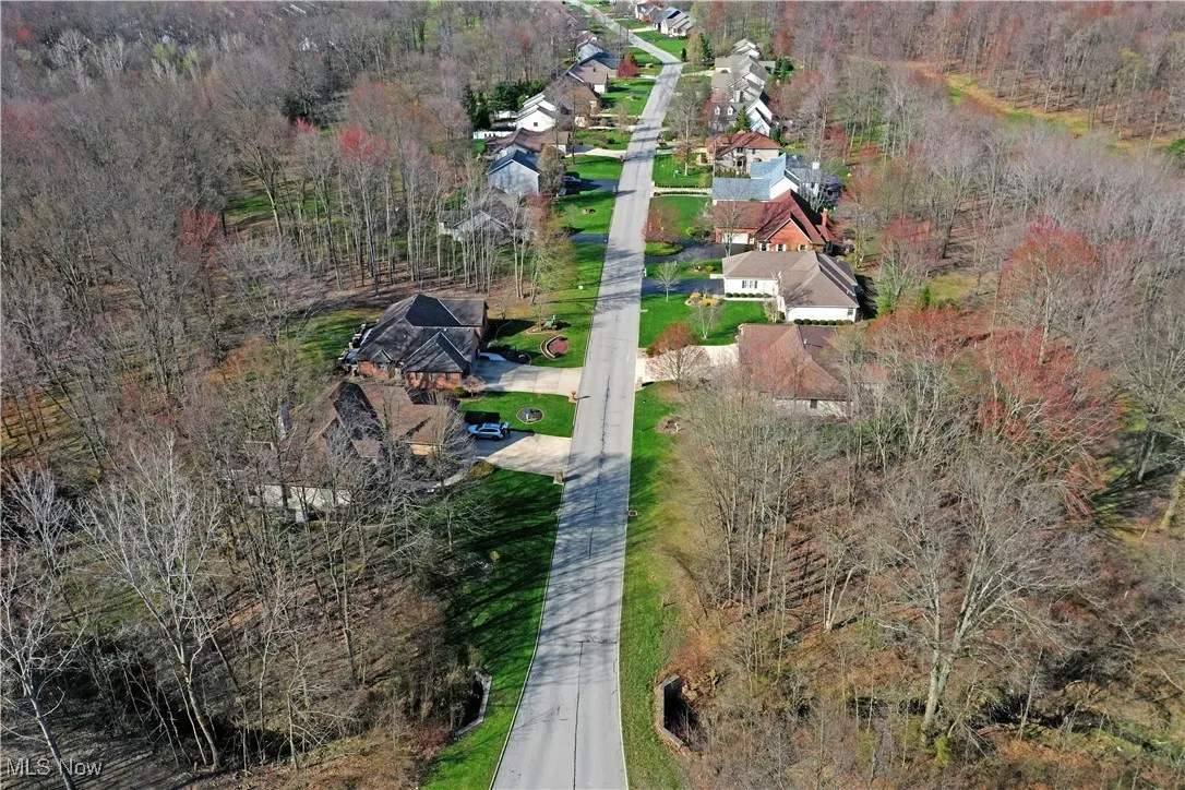 Drone / aerial view featuring a forest view