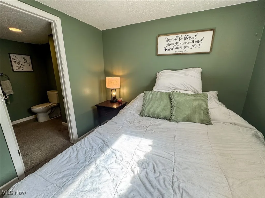 bonus space in basement