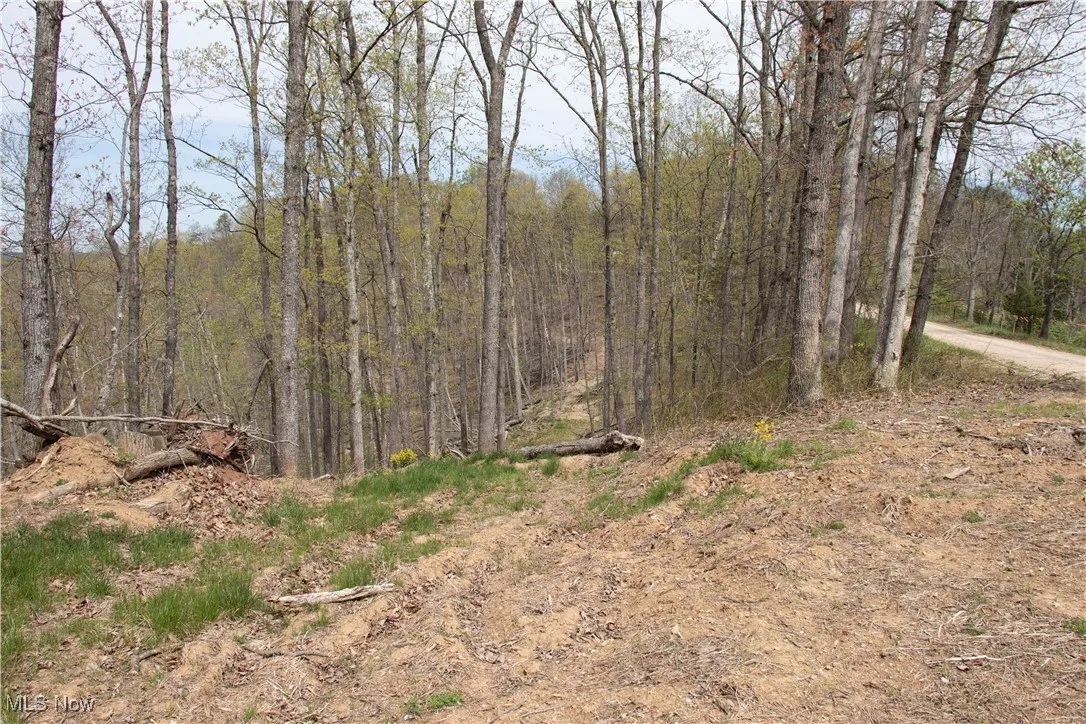 View of nature featuring a view of trees