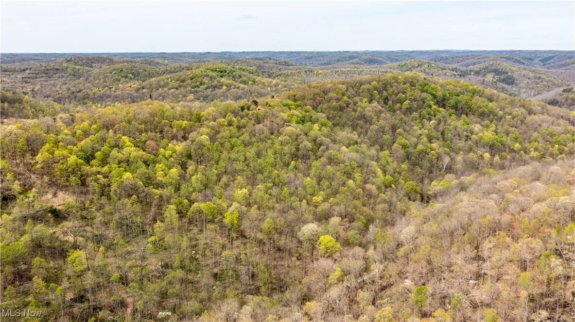 Bird's eye view with a wooded view