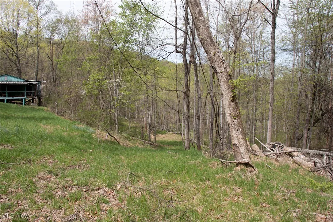View of yard featuring a wooded view