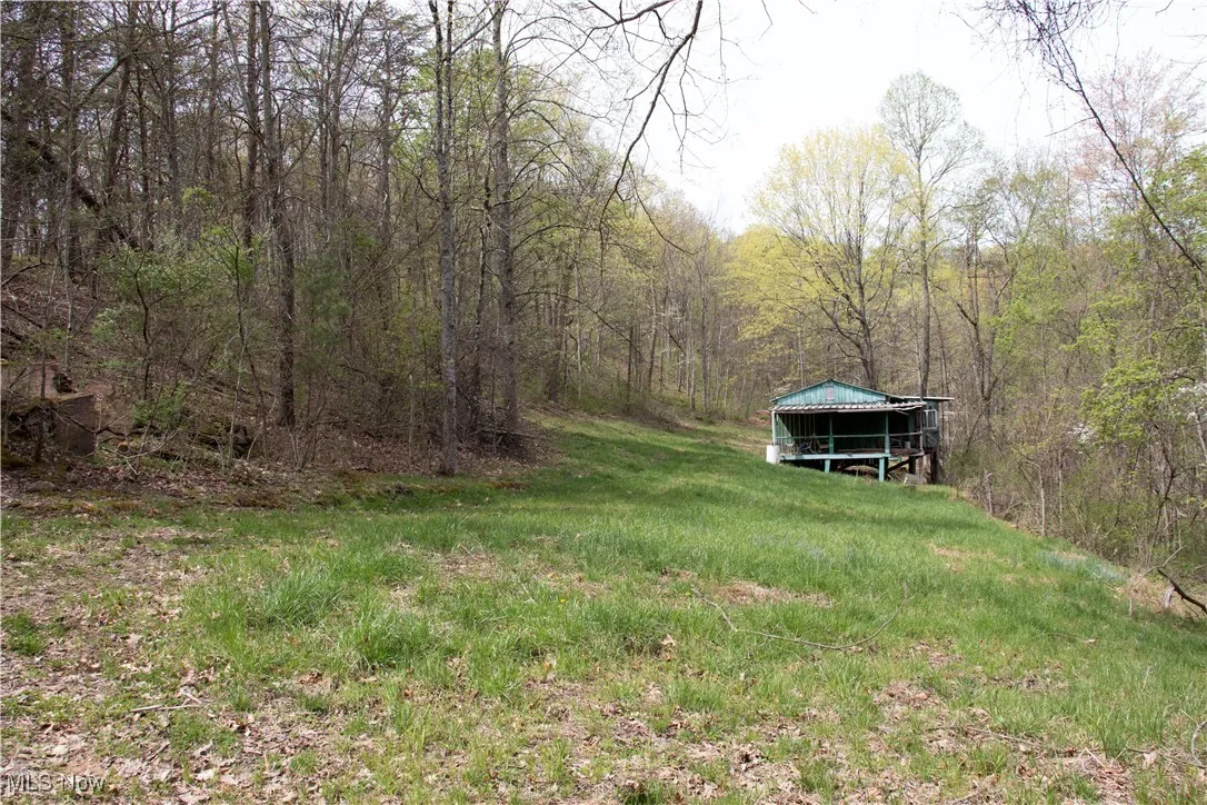 View of yard with an outdoor structure and a wooded view