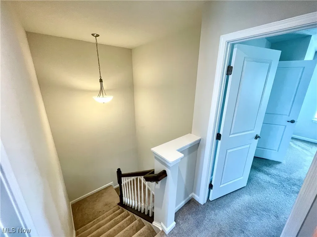 Stairs featuring baseboards and carpet floors