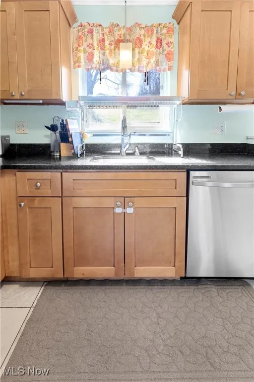 Kitchen featuring stainless steel dishwasher, dark countertops, a sink, and plenty of natural light