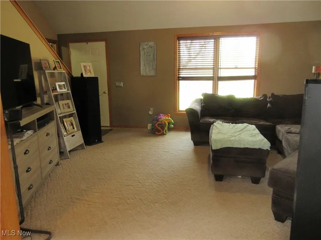 6463 Bel Air Drive, Andover, Ohio,MLS Now Listing ID