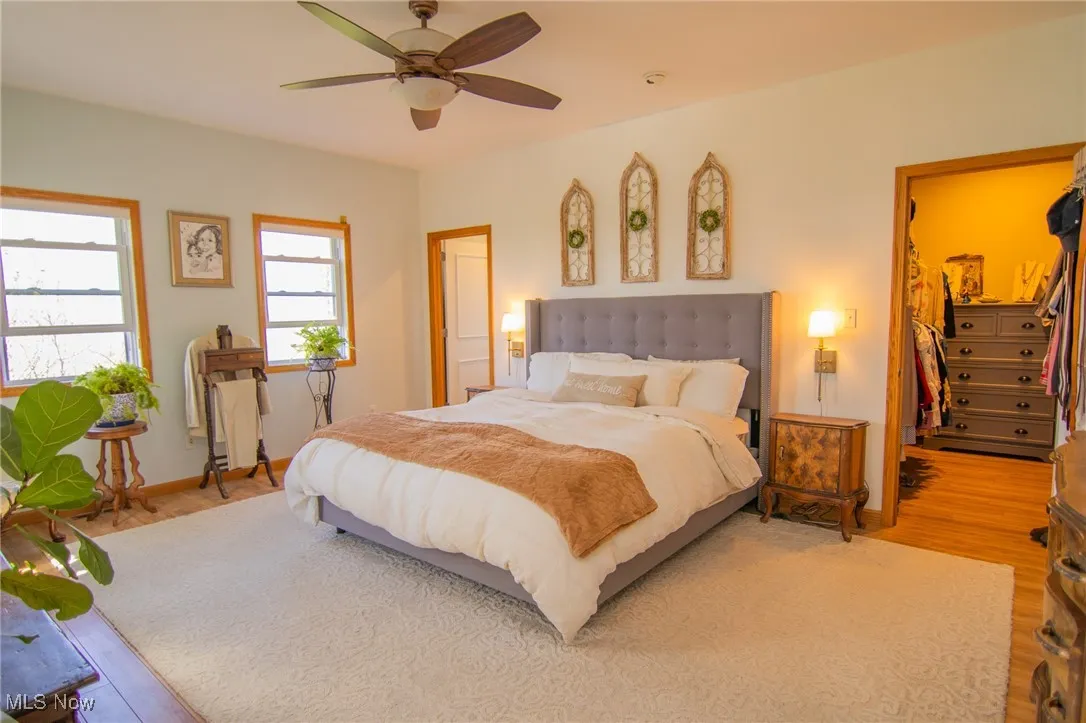 Bedroom featuring a spacious closet, a ceiling fan, and light wood-style flooring