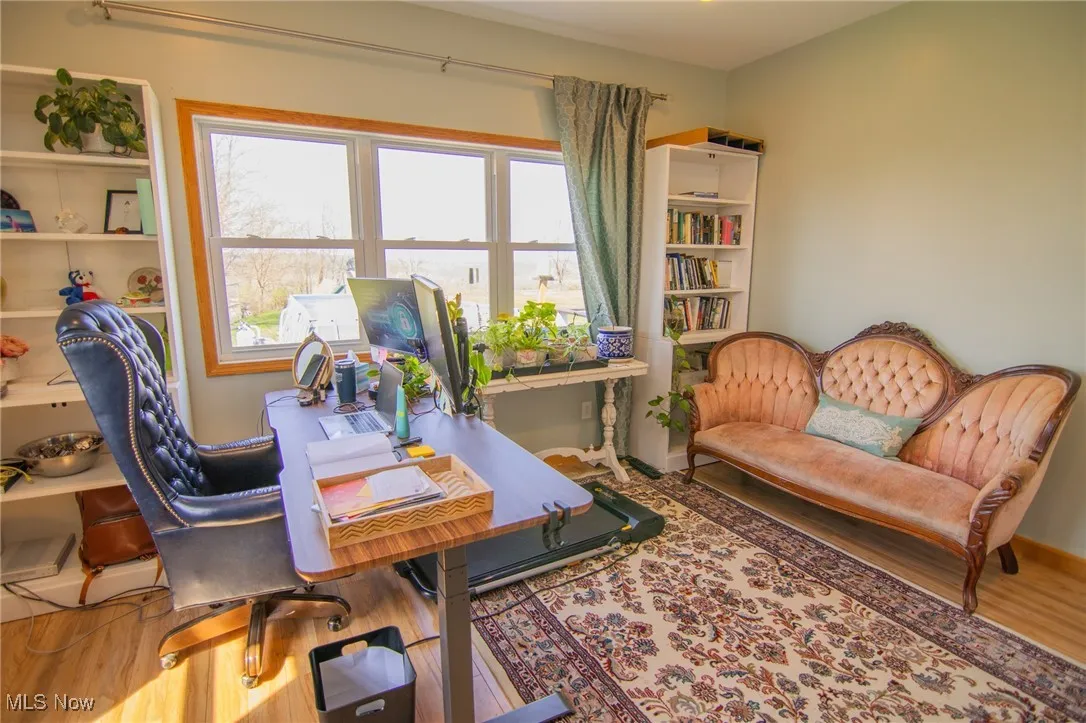 Office area featuring wood finished floors, a wealth of natural light, and baseboards