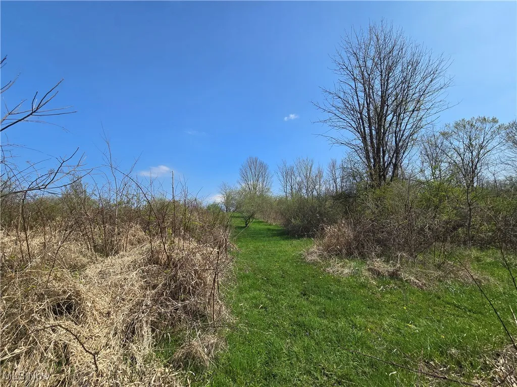 24975 Township Road 444, Warsaw, Ohio,MLS Now Listing ID